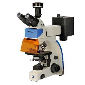 Microscopio de fluorescencia de Digitaces Trinocular IF-302