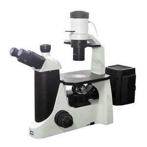 El LED Trinocular invirtió el microscopio de fluorescencia con la cámara de color del CCD