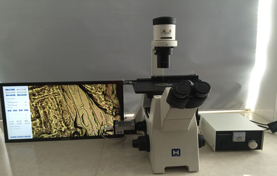 Trinocular invirtió el microscopio biológico para el cultivo celular de la investigación