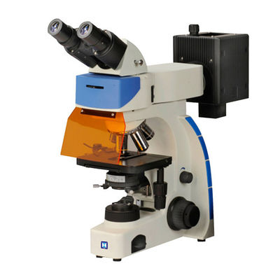 Microscopio de fluorescencia vertical binocular IF-202